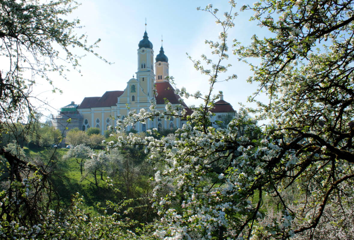 Streuobstwiese Kloster Roggenburg