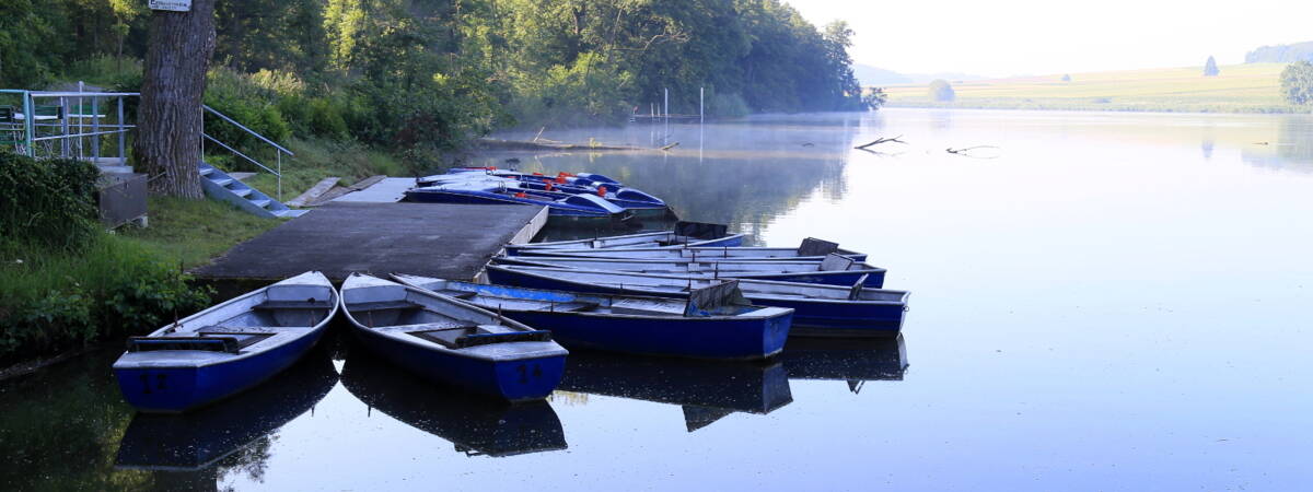 HEADER Roggenburger Weiher