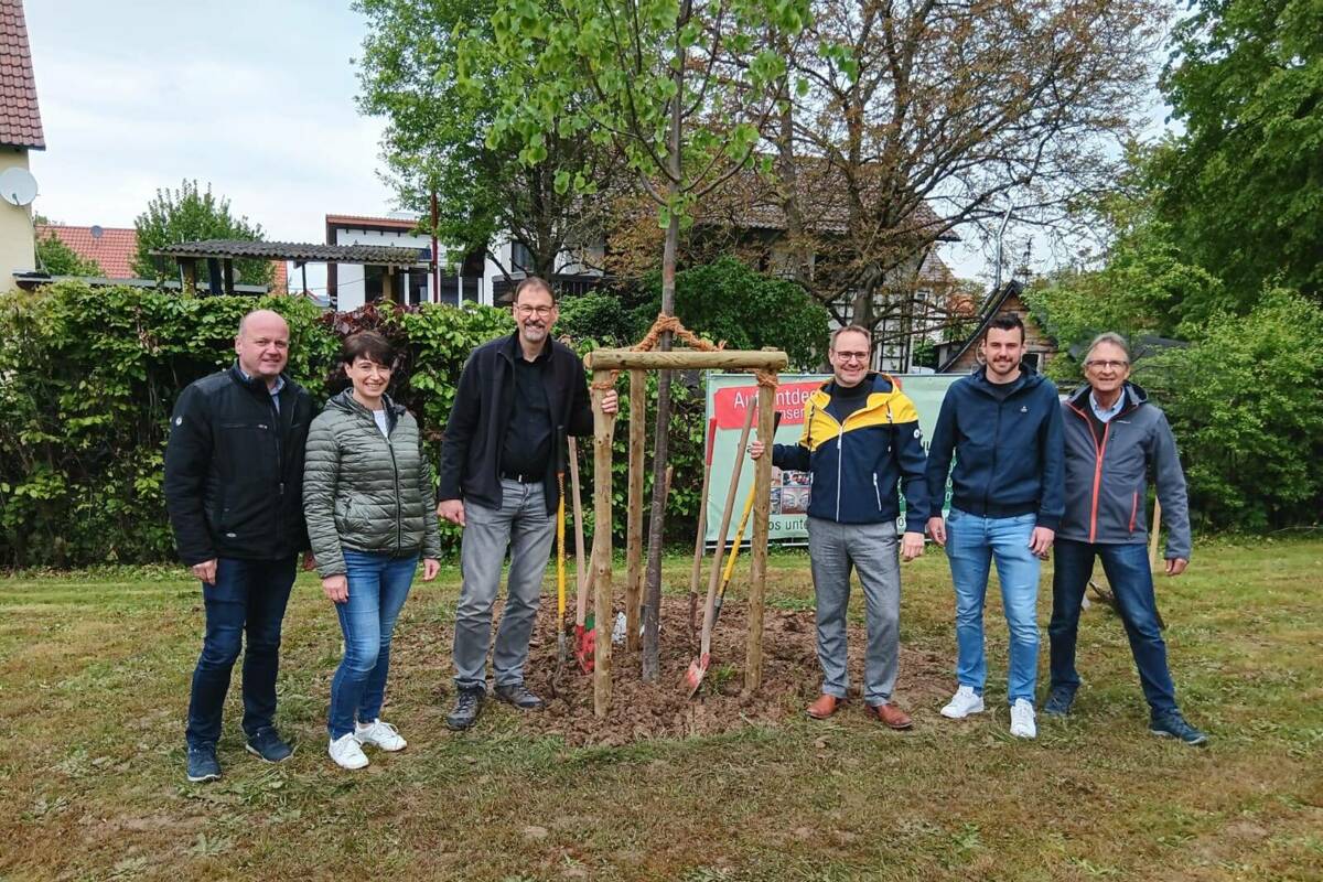 Landkreislinde Pflanzaktion 